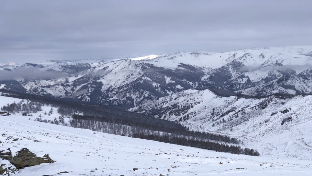 snow in Altay region