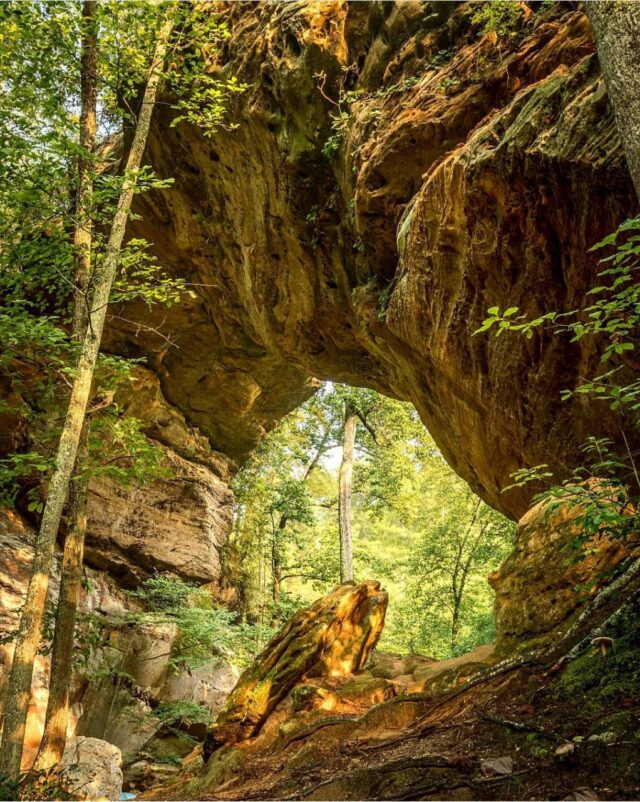 Hiking in Red River Gorge: Your Guide to the 10 Best Trails - Travel Virgin