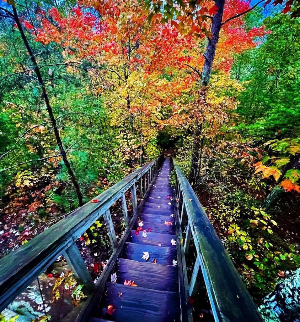 Silvermine Arch Hiking in Red River Gorge