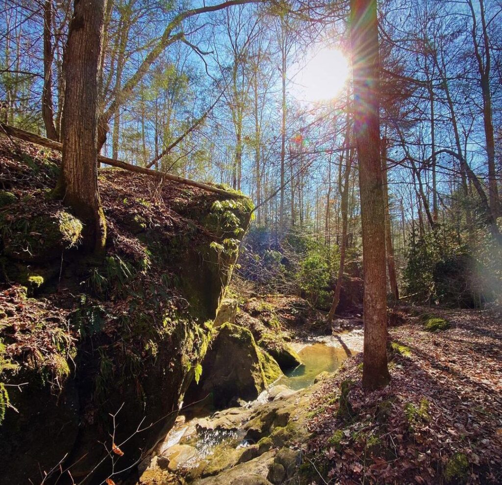 Whittleton Arch-Hiking in Red River Gorge