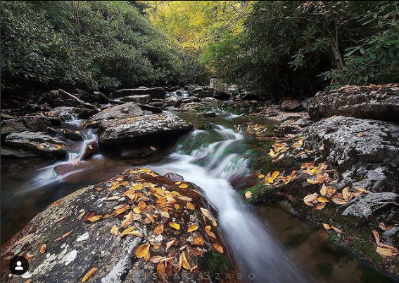 attractions in north carolina Great Smoky National Park